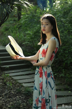 综合色导航应用界面展示